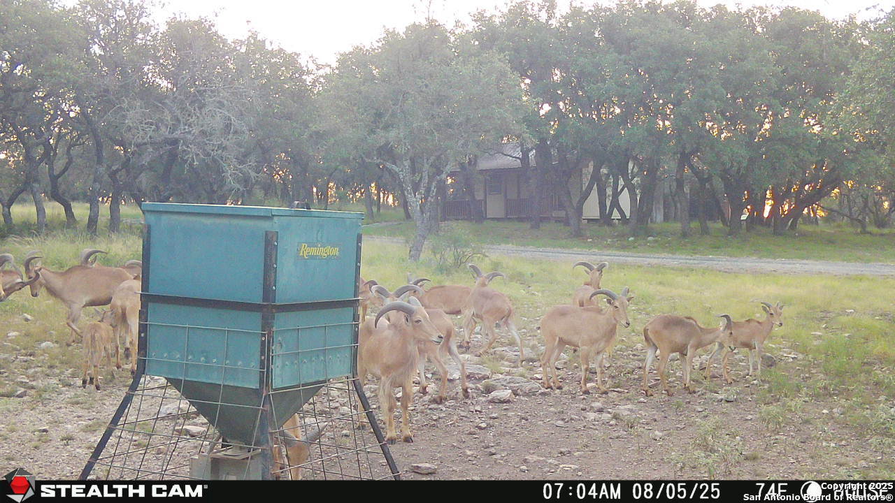 1305 Camino Real Junction TX 76849