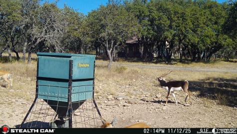 1305 Camino Real Junction TX 76849