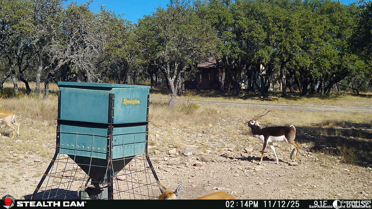 1305 Camino Real Junction TX 76849