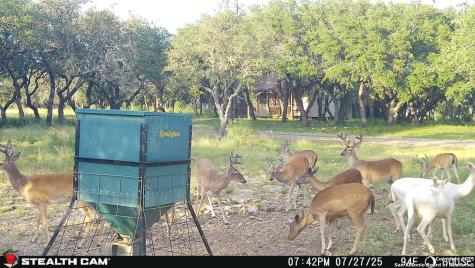1305 Camino Real Junction TX 76849