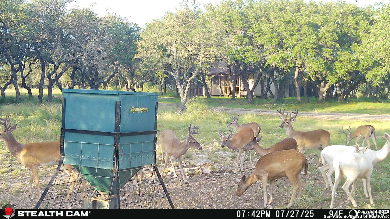 1305 Camino Real Junction TX 76849