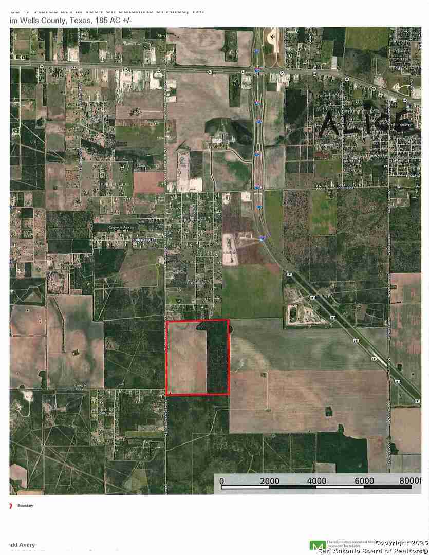 1956 Fm 1554 Alice TX 78332