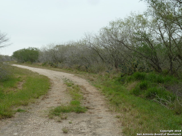 1956 Fm 1554 Alice TX 78332
