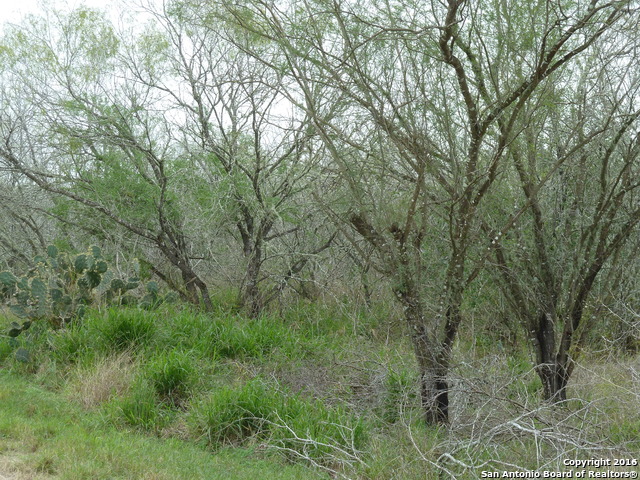 1956 Fm 1554 Alice TX 78332