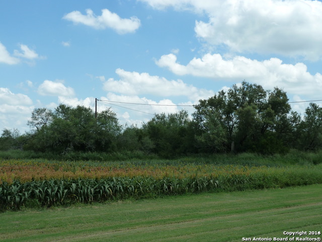 1956 Fm 1554 Alice TX 78332