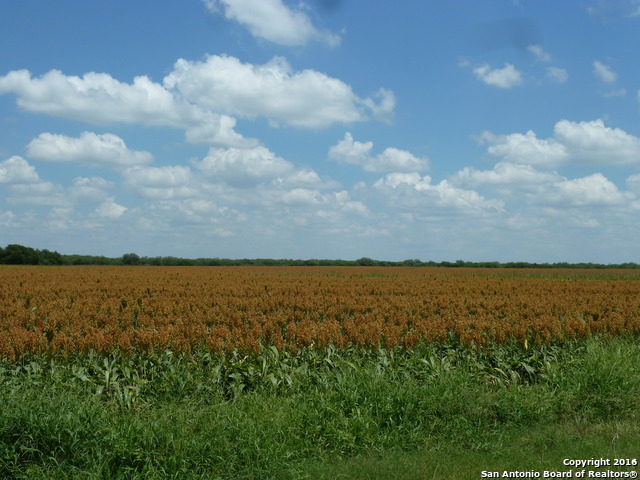 1956 Fm 1554 Alice TX 78332