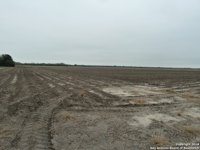 1956 Fm 1554 Alice TX 78332