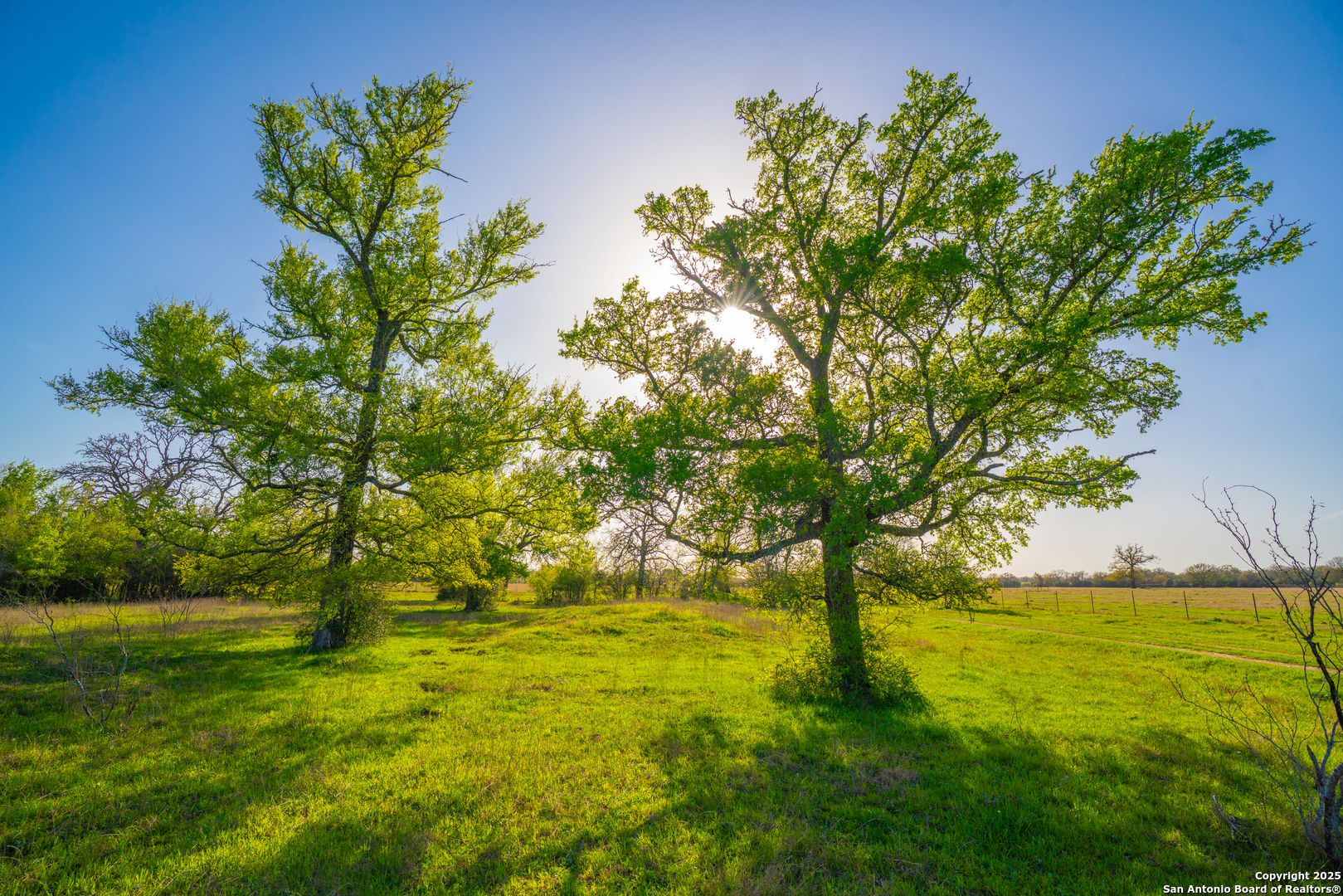 1777 Fm 1361 Somerville TX 77879