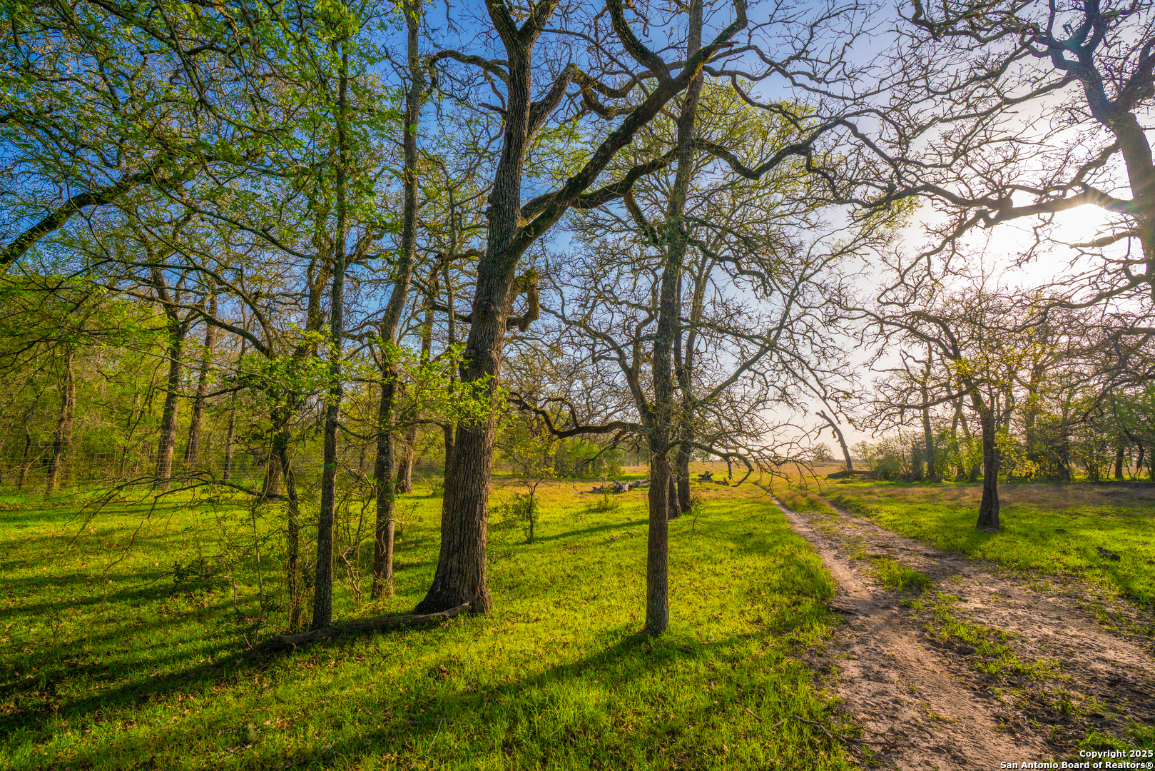 1777 Fm 1361 Somerville TX 77879