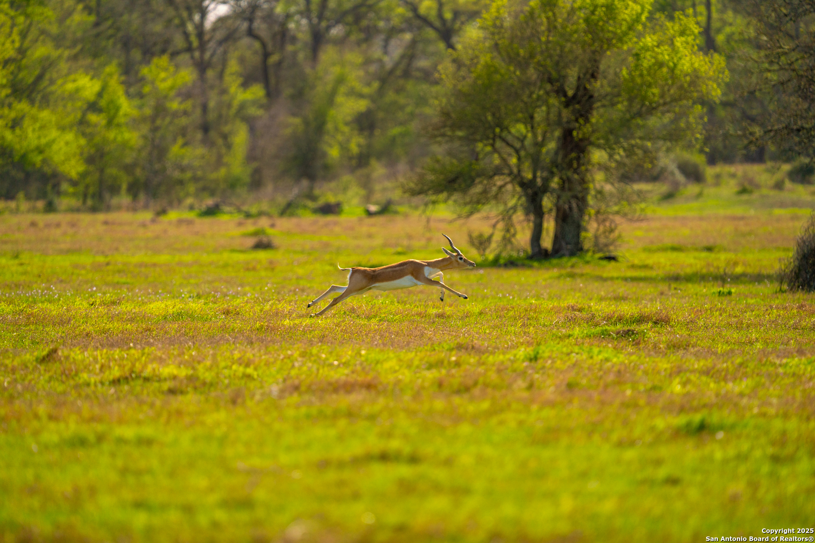 1777 Fm 1361 Somerville TX 77879