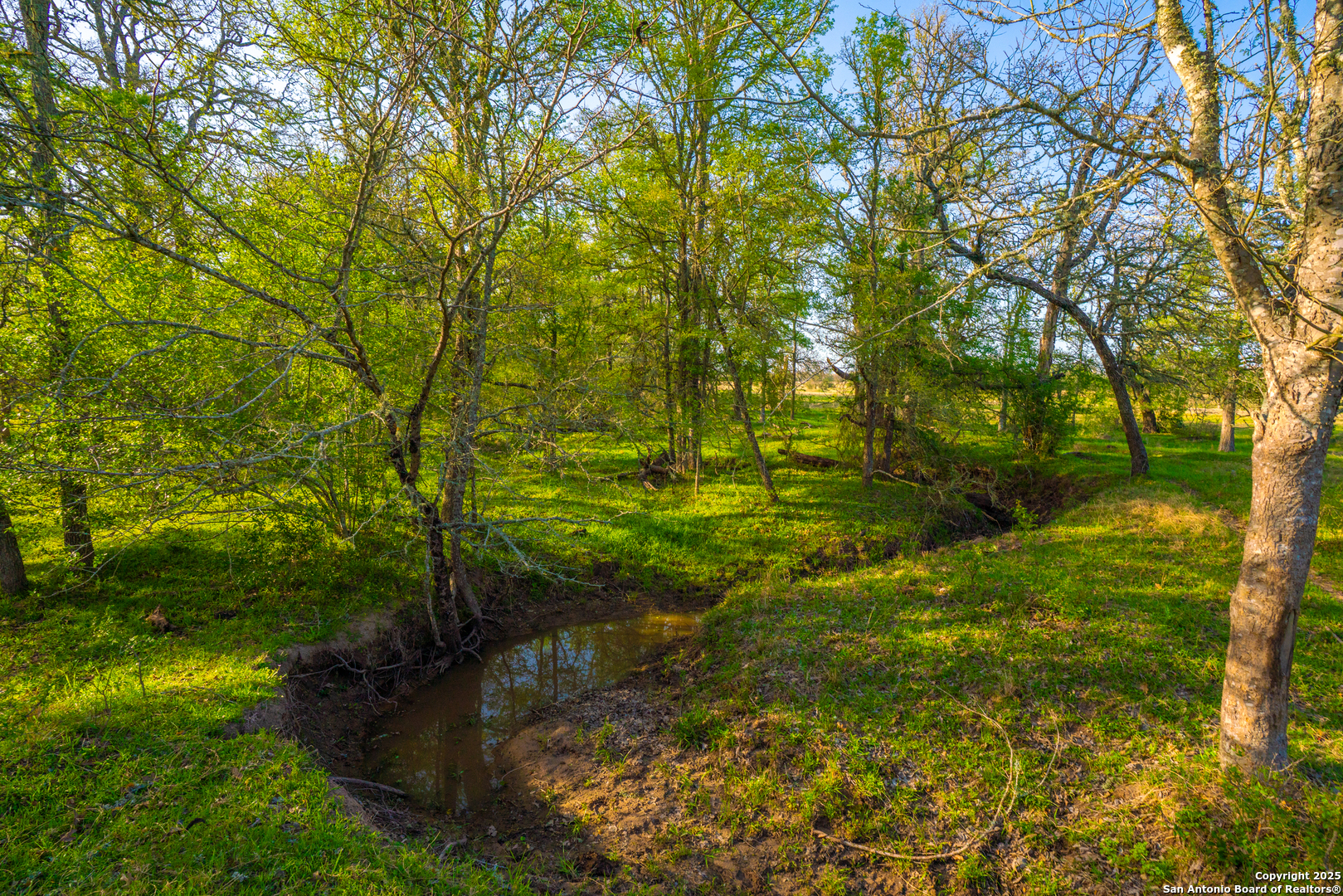 1777 Fm 1361 Somerville TX 77879