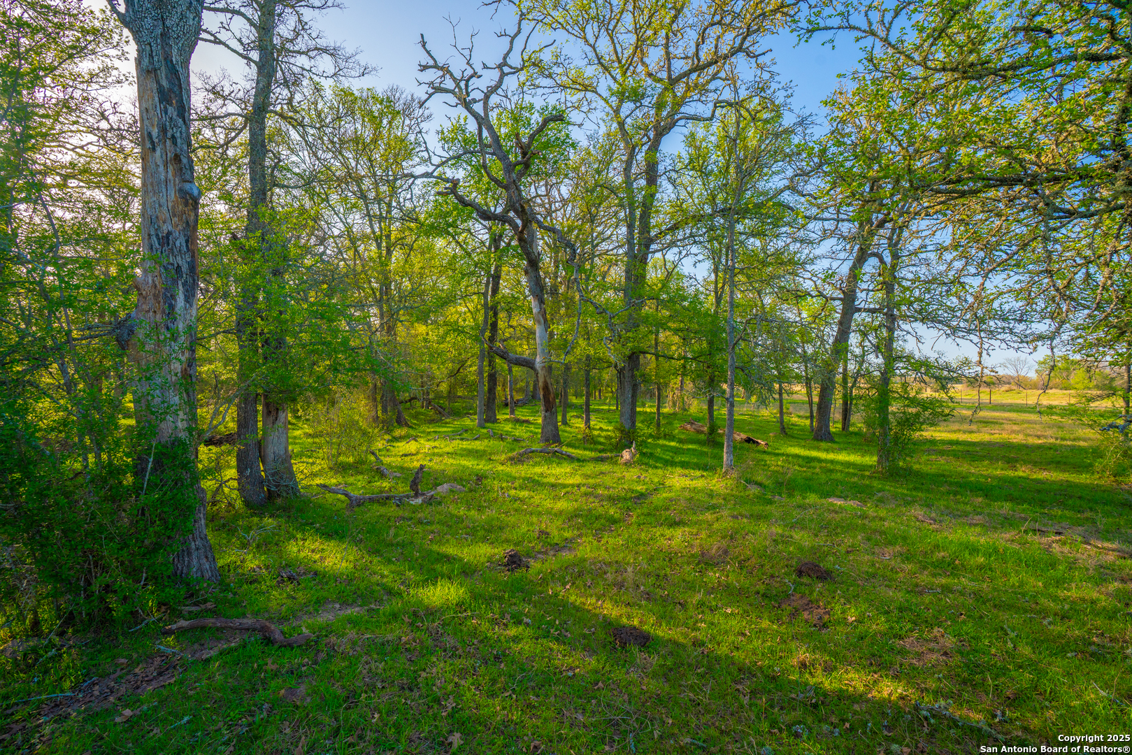 1777 Fm 1361 Somerville TX 77879