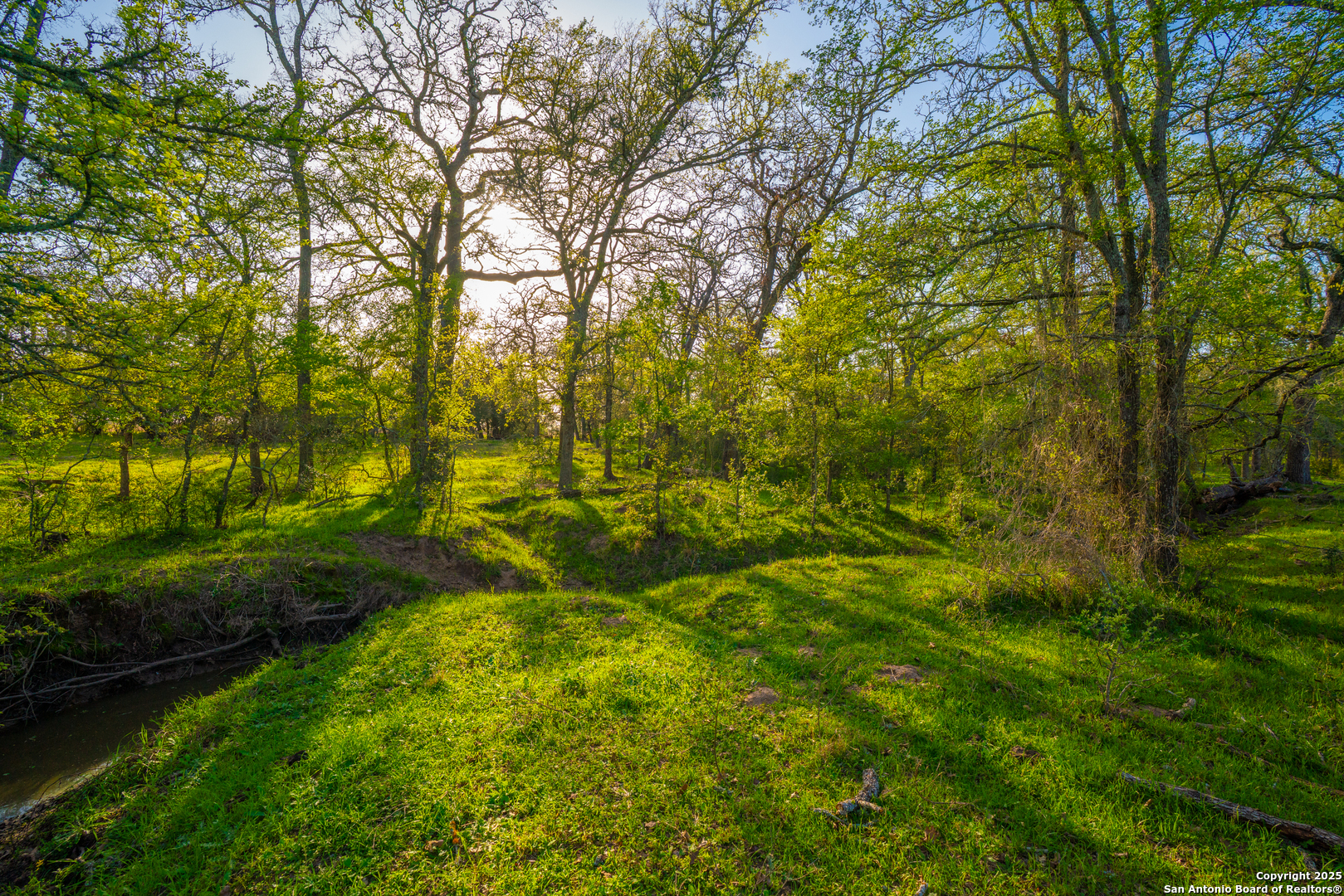 1777 Fm 1361 Somerville TX 77879