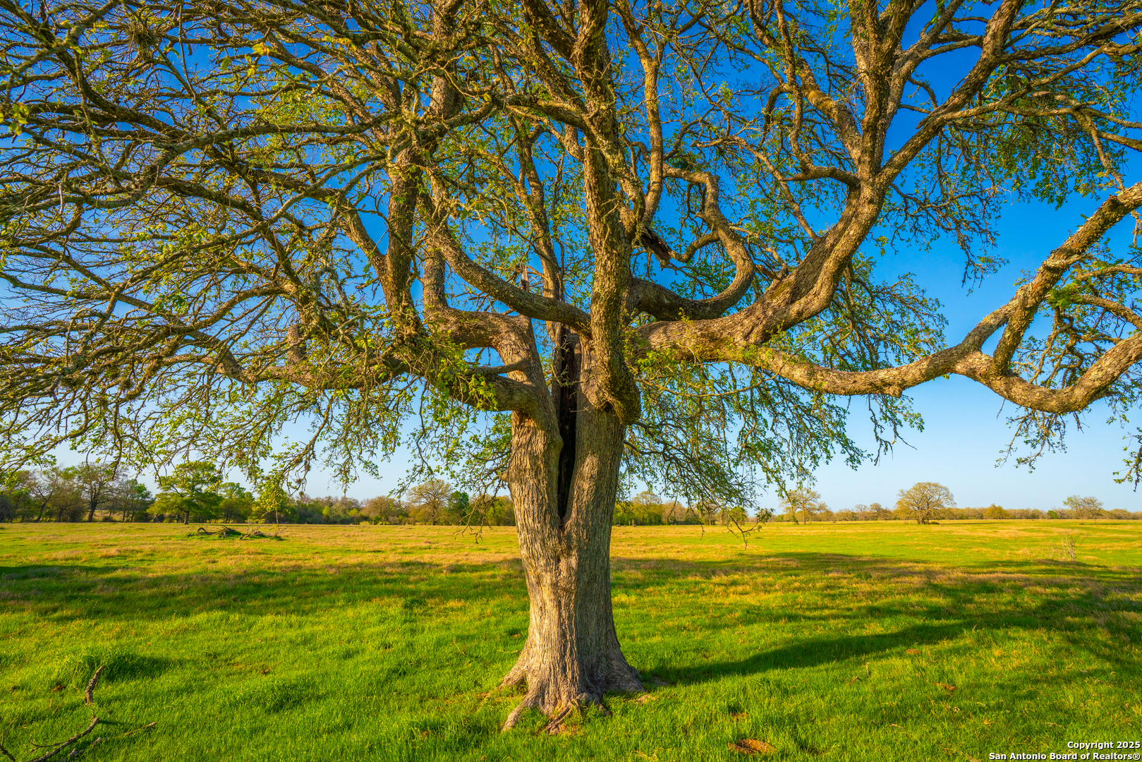 1777 Fm 1361 Somerville TX 77879