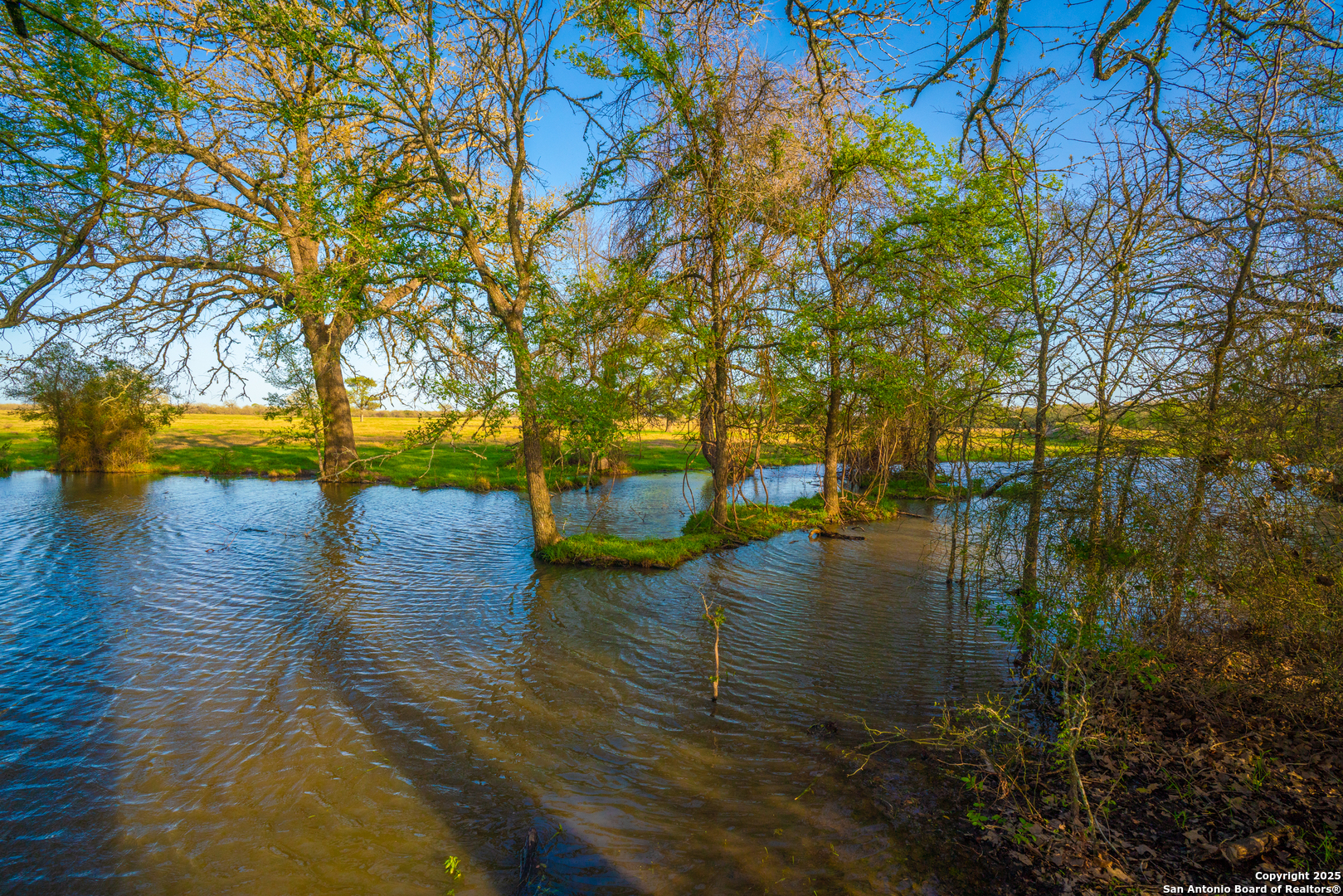 1777 Fm 1361 Somerville TX 77879