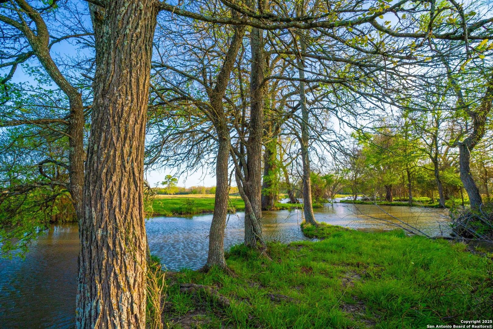 1777 Fm 1361 Somerville TX 77879