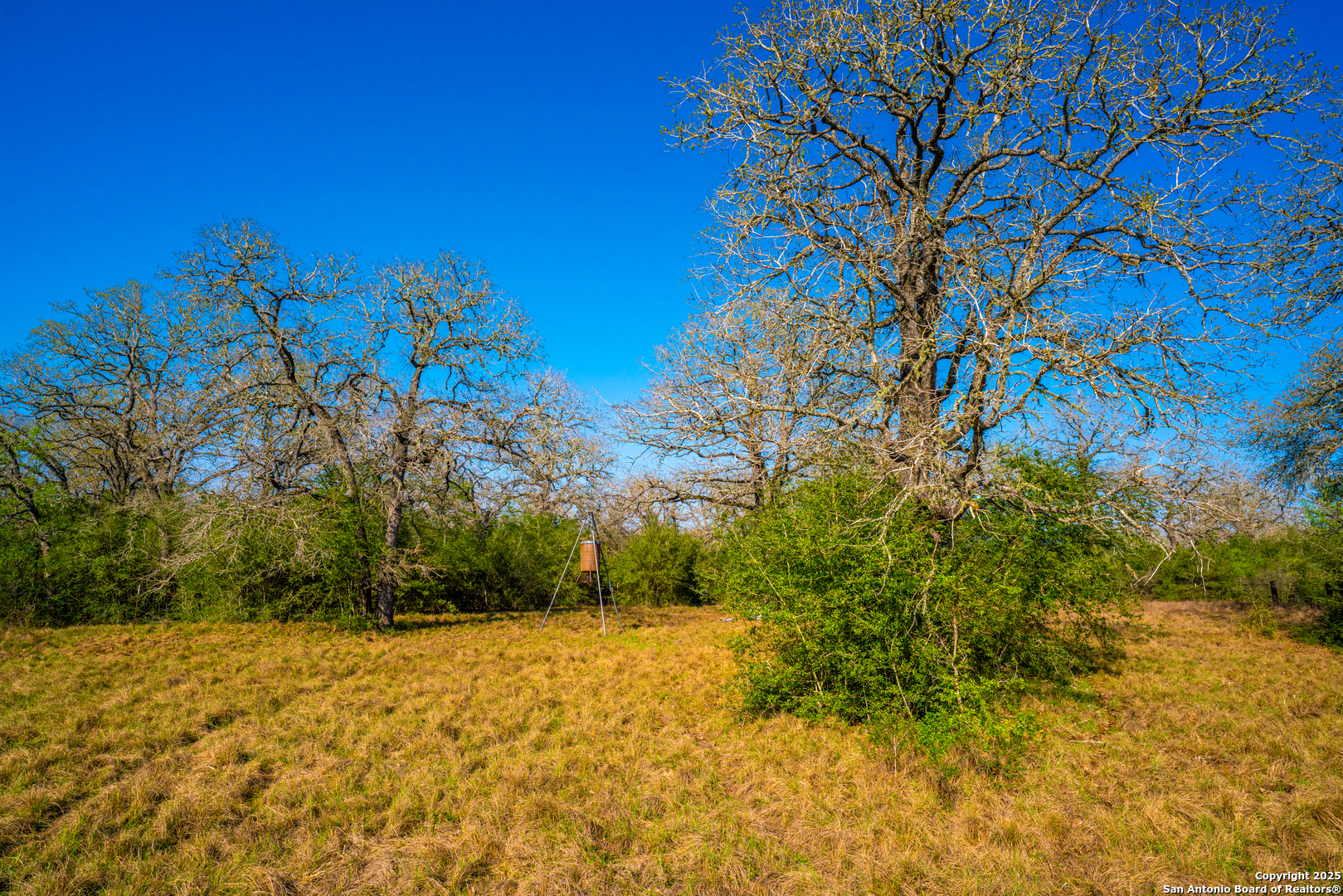 1777 Fm 1361 Somerville TX 77879