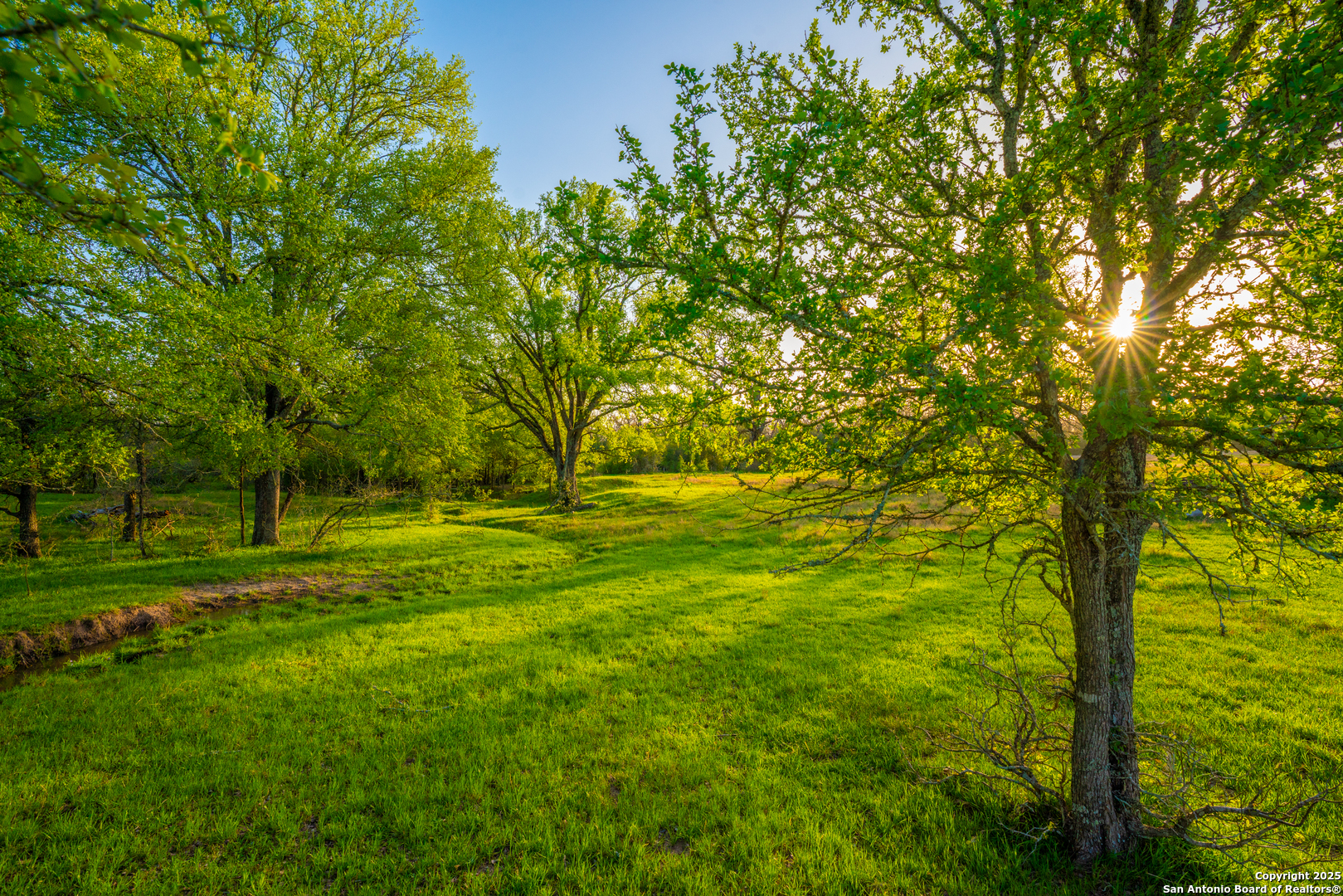 1777 Fm 1361 Somerville TX 77879