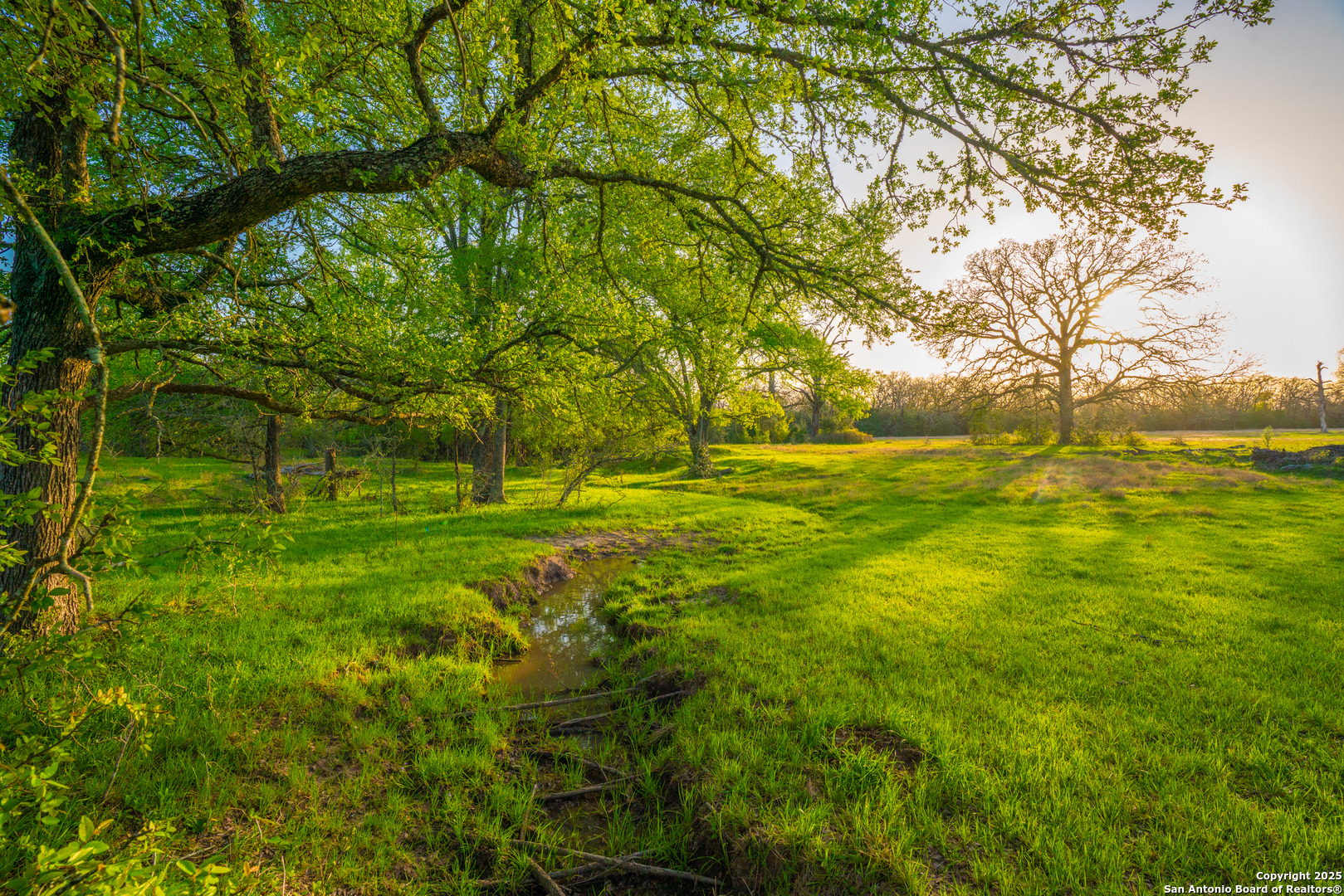 1777 Fm 1361 Somerville TX 77879