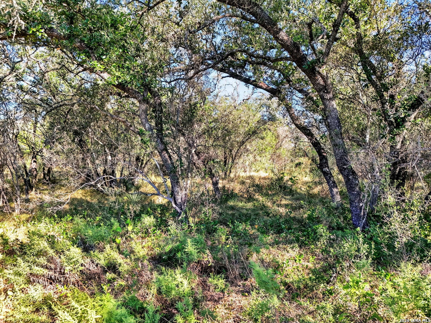 Tract 18 Fm 1796 Dhanis TX 78850