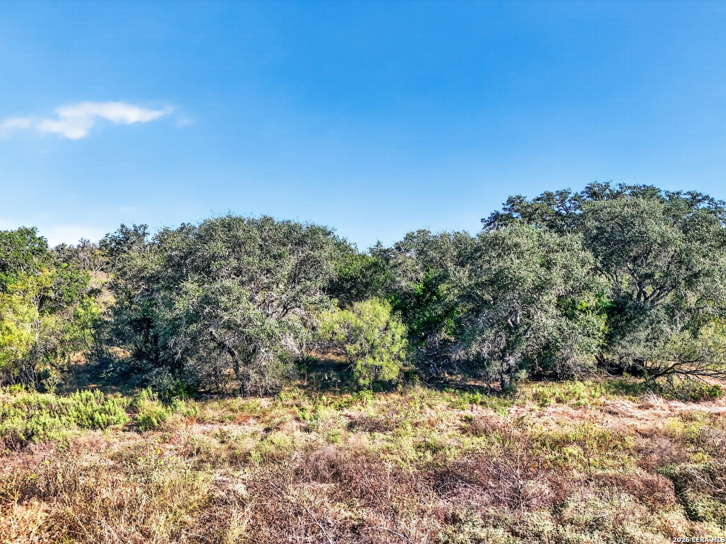 Tract 18 Fm 1796 Dhanis TX 78850