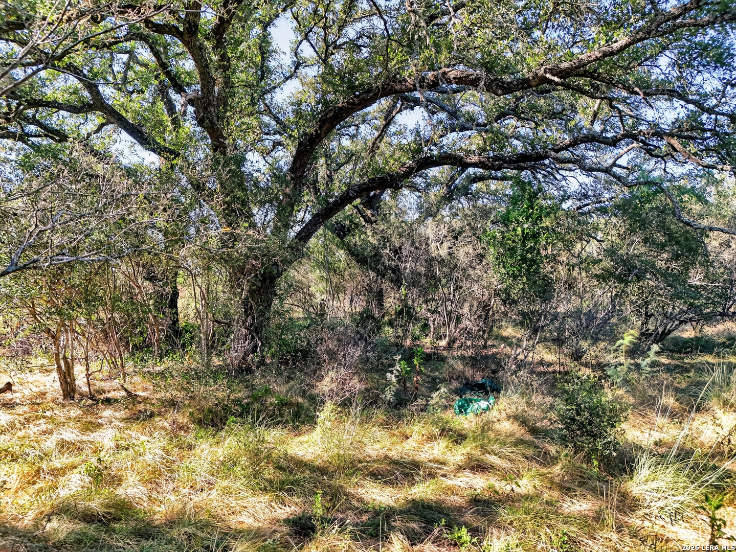 Tract 18 Fm 1796 Dhanis TX 78850
