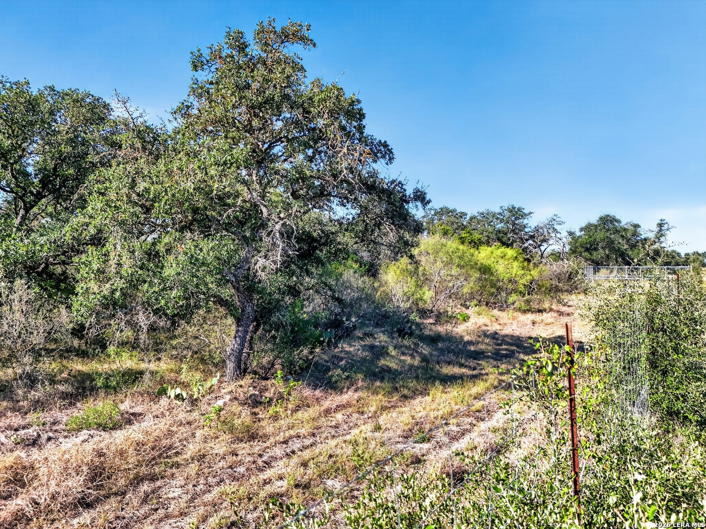 Tract 18 Fm 1796 Dhanis TX 78850