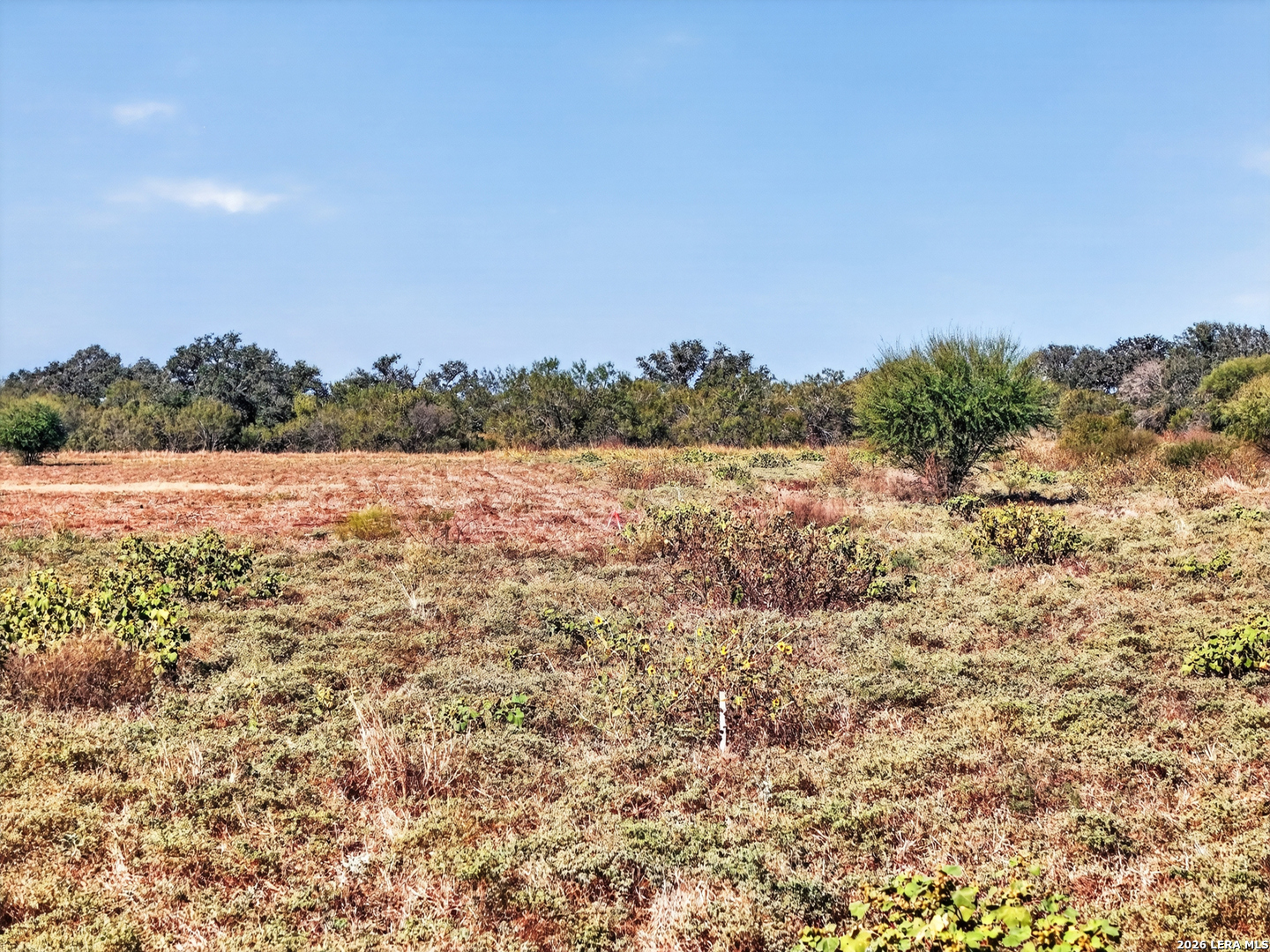 Tract 18 Fm 1796 Dhanis TX 78850