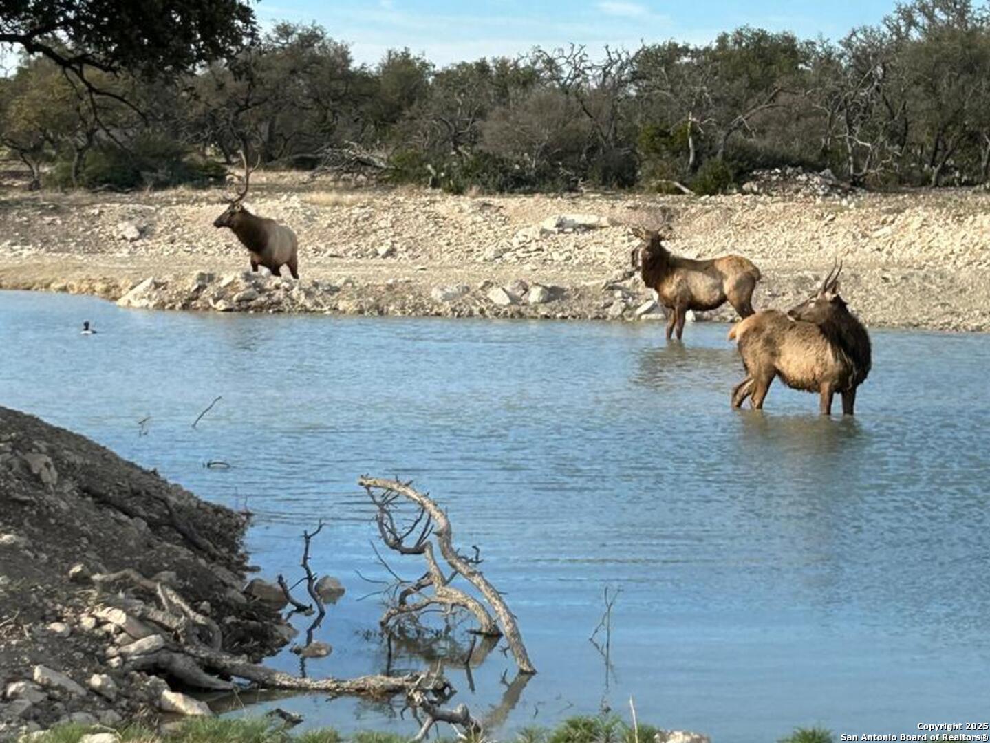 988 Sd 71600 Rocksprings TX 78880