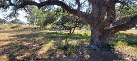 1167 County Road 380 Hallettsville TX 77964