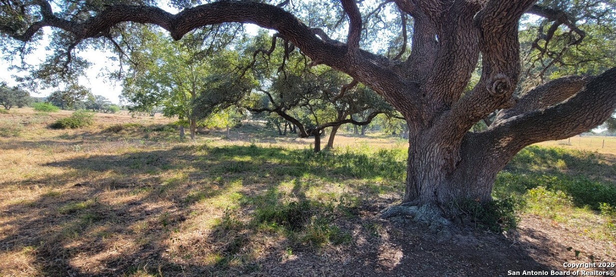 1167 County Road 380 Hallettsville TX 77964