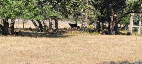 1167 County Road 380 Hallettsville TX 77964