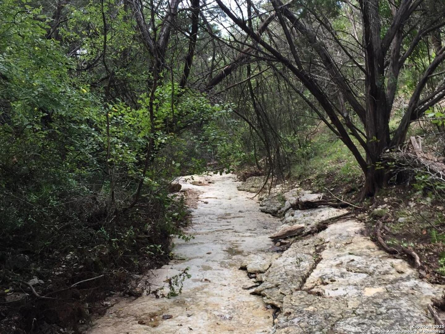 776 County Road 270 Mico TX 78056