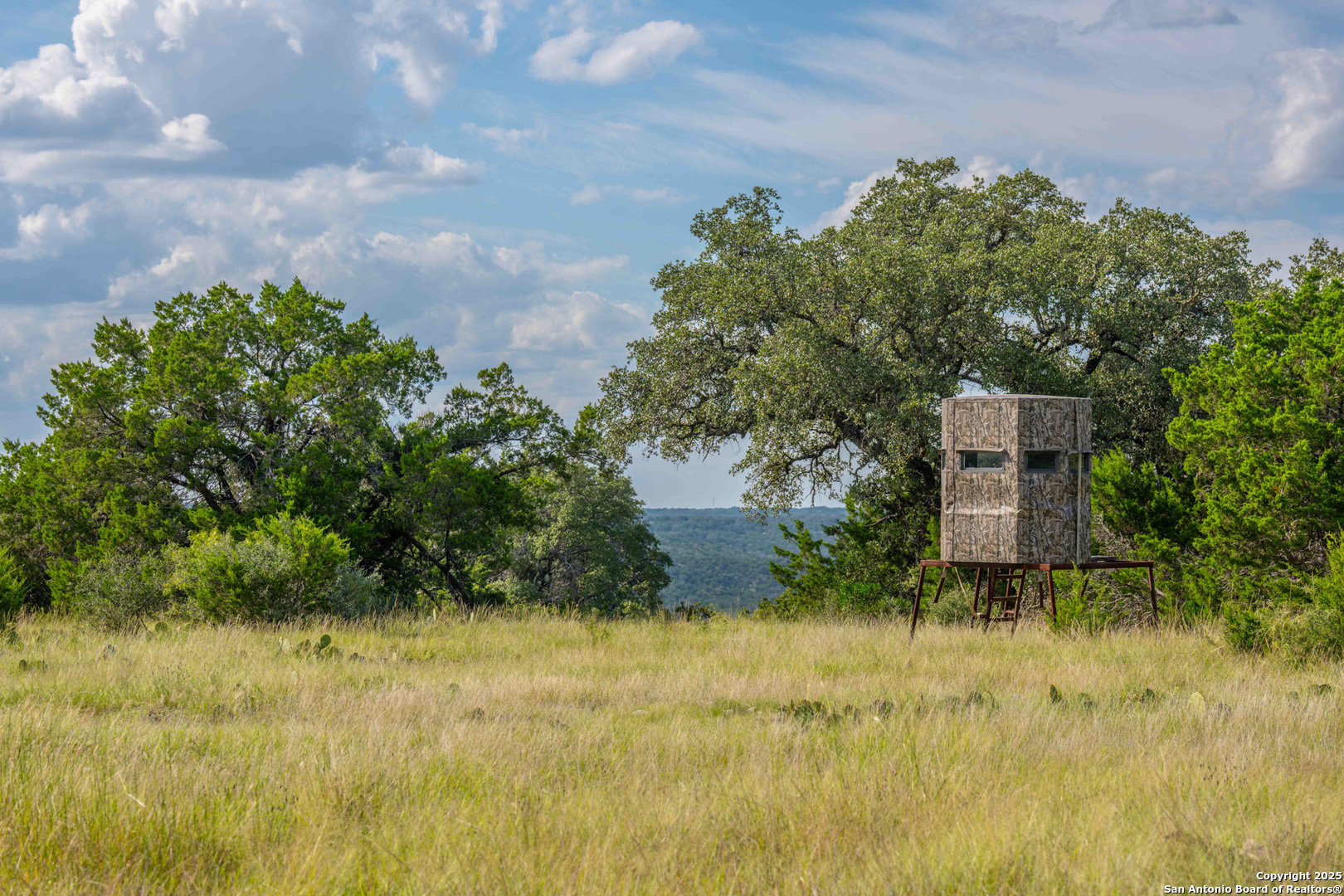 Tbd Fm 2169 Junction TX 76849