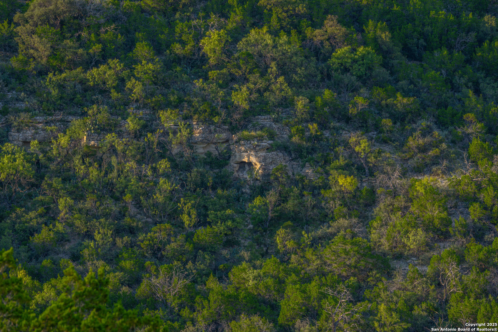 Tbd Fm 2169 Junction TX 76849