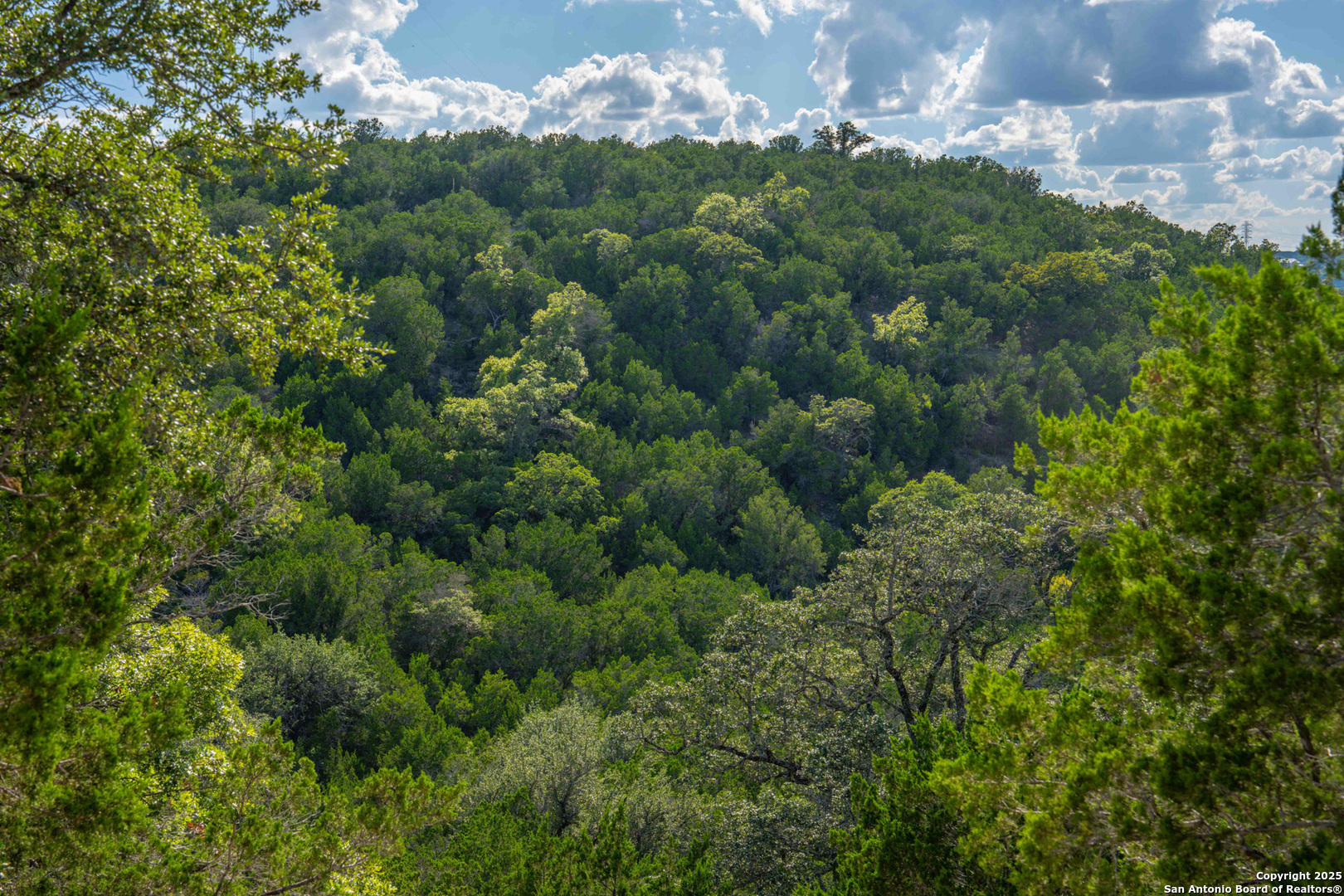 Tbd Fm 2169 Junction TX 76849