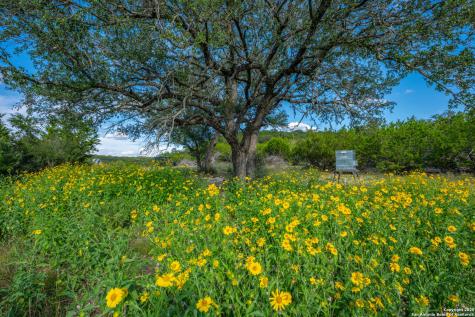 Tbd Fm 2169 Junction TX 76849