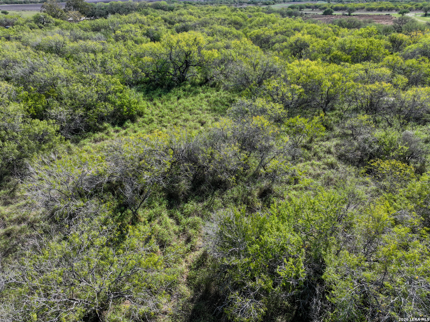 0 Fm 666 At County Road 1168 Mathis TX 78368