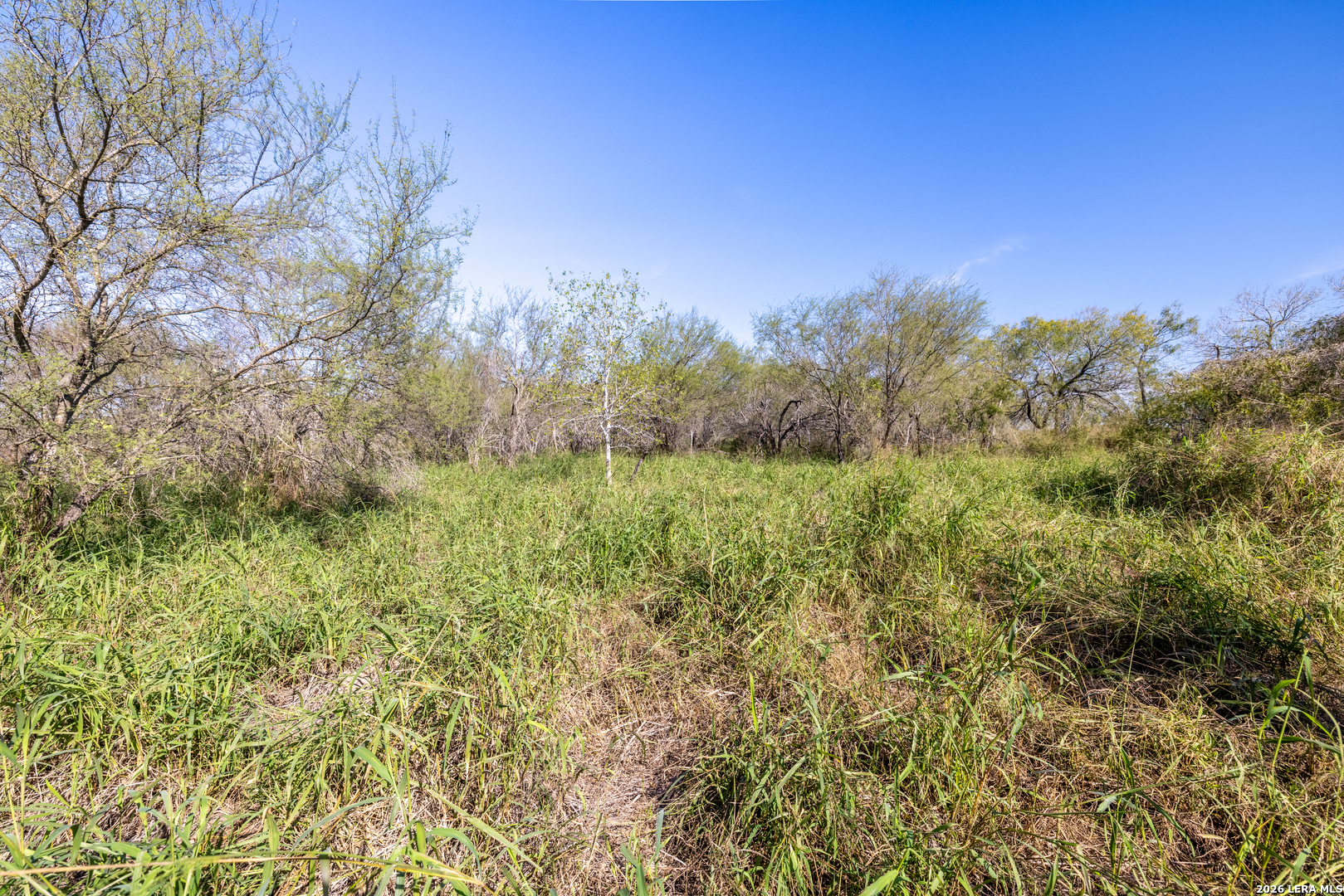 0 Fm 666 At County Road 1168 Mathis TX 78368