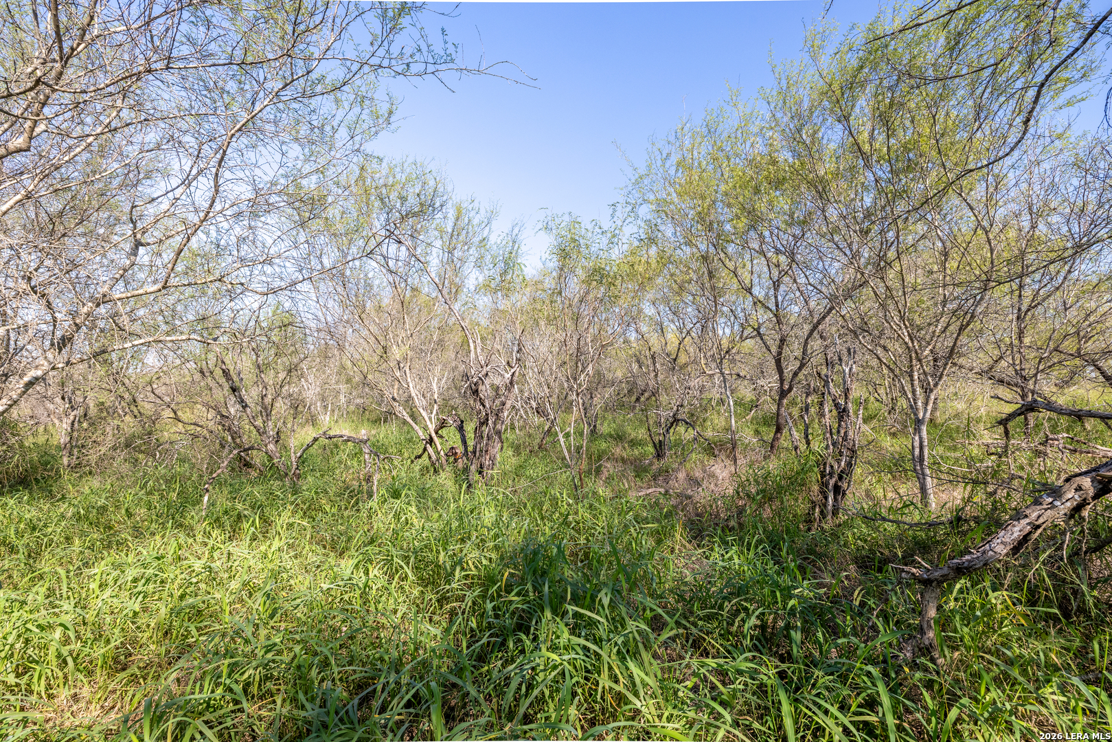 0 Fm 666 At County Road 1168 Mathis TX 78368