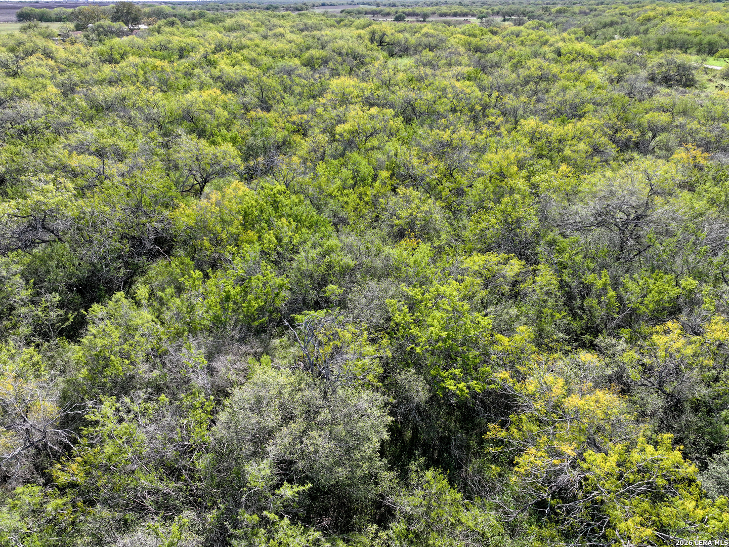 0 Fm 666 At County Road 1168 Mathis TX 78368