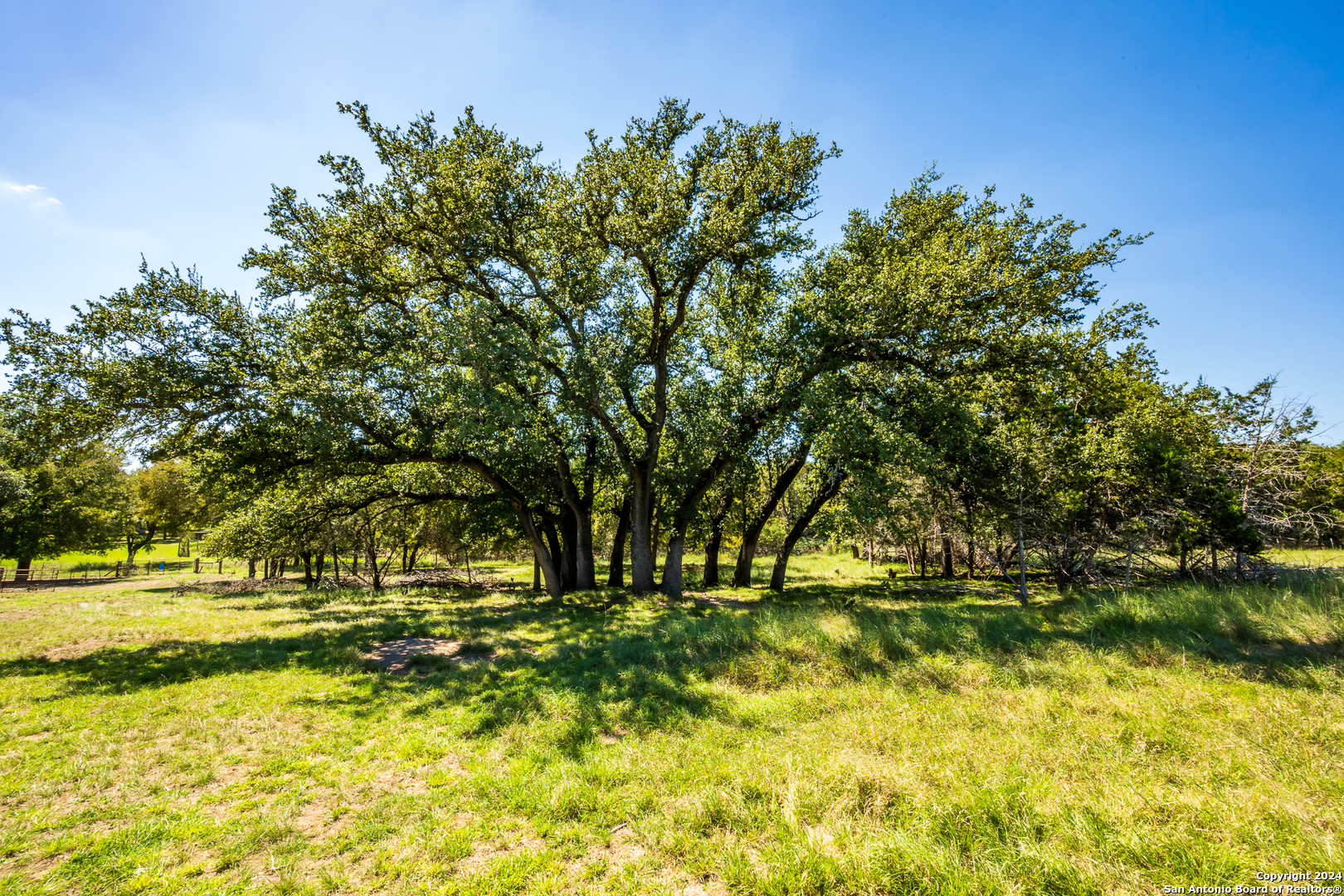 747 Cove Ranch Kempner TX 76539