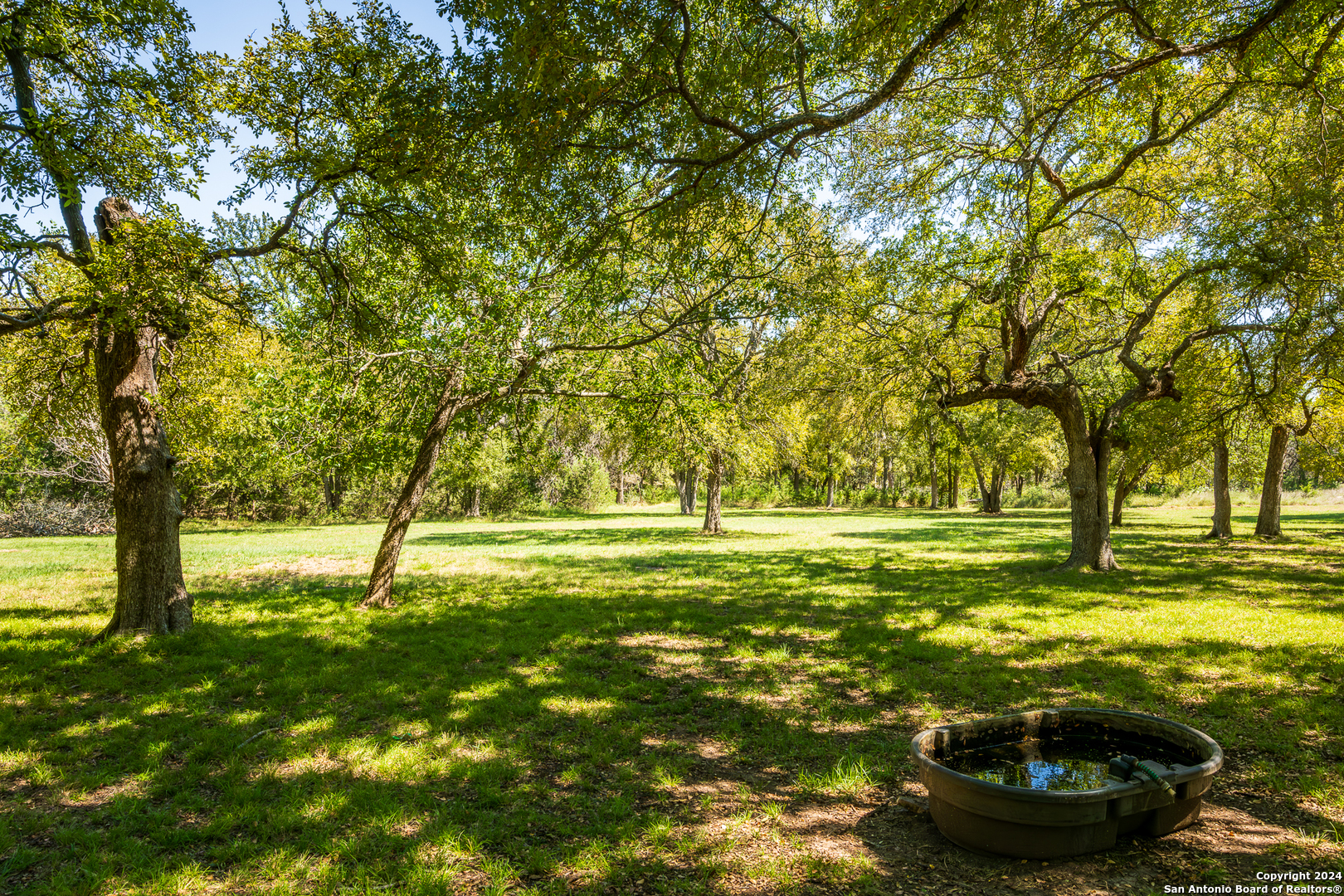 747 Cove Ranch Kempner TX 76539