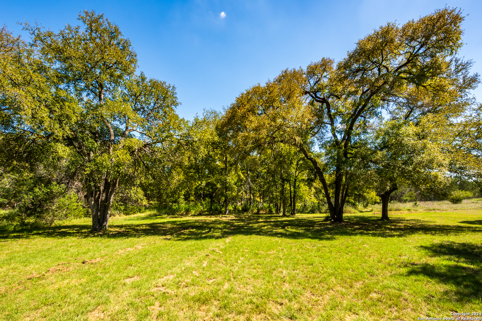 747 Cove Ranch Kempner TX 76539