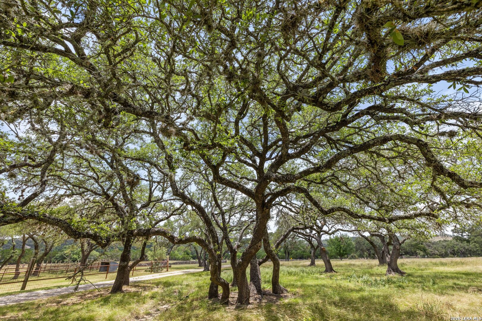 271 & 173 Big Creek Road Blanco TX 78606