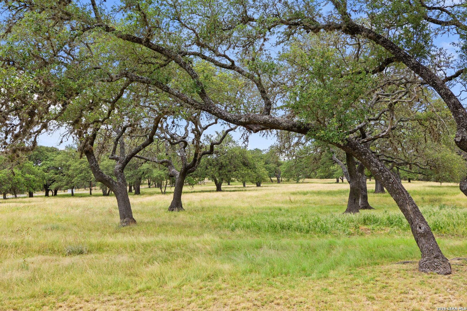 271 & 173 Big Creek Road Blanco TX 78606
