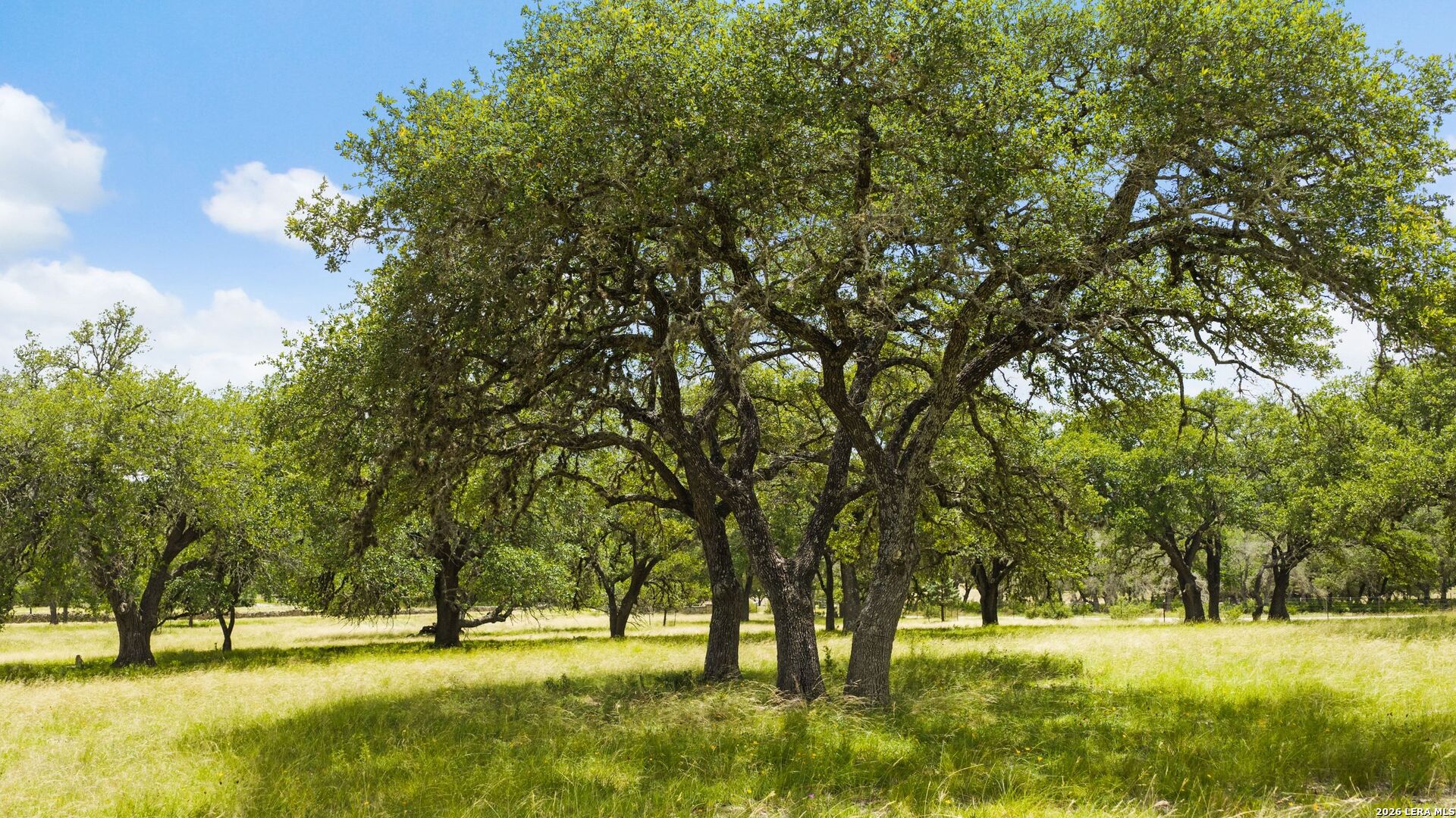 271 & 173 Big Creek Road Blanco TX 78606