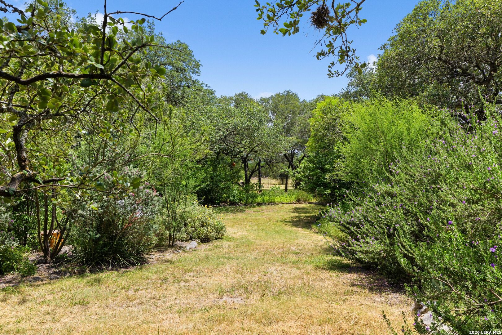 271 & 173 Big Creek Road Blanco TX 78606