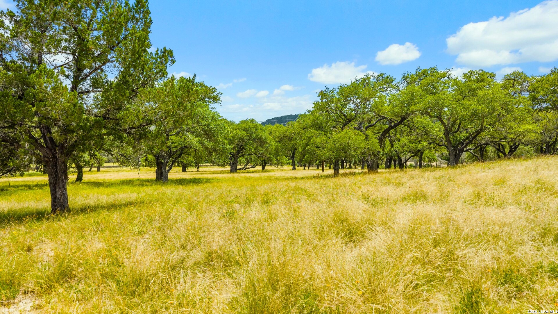 271 & 173 Big Creek Road Blanco TX 78606