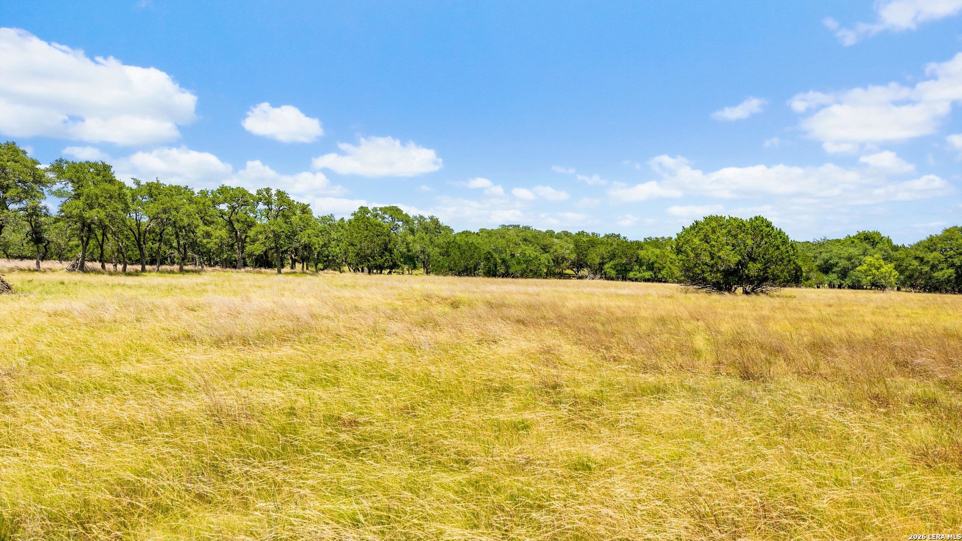 271 & 173 Big Creek Road Blanco TX 78606